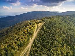 Szyndzielnia